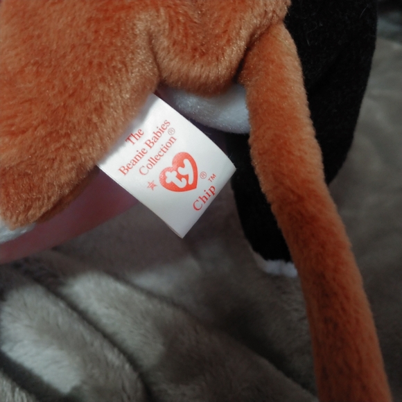 RARE TY "Chip" Beanie Baby, 1996 PVC & ERRORS - Picture 10 of 12